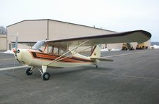 Champ Day at Warrenton